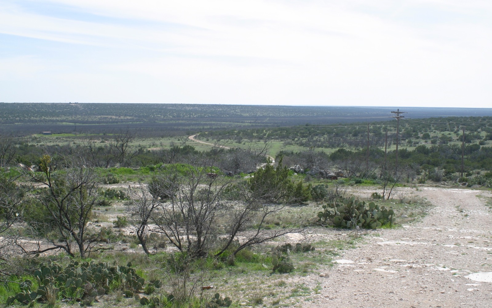 Sell Mineral Rights in Reagan County, TX/NM